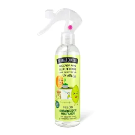 Air Freshener Spray The Fruit Company Melon In Pakistan